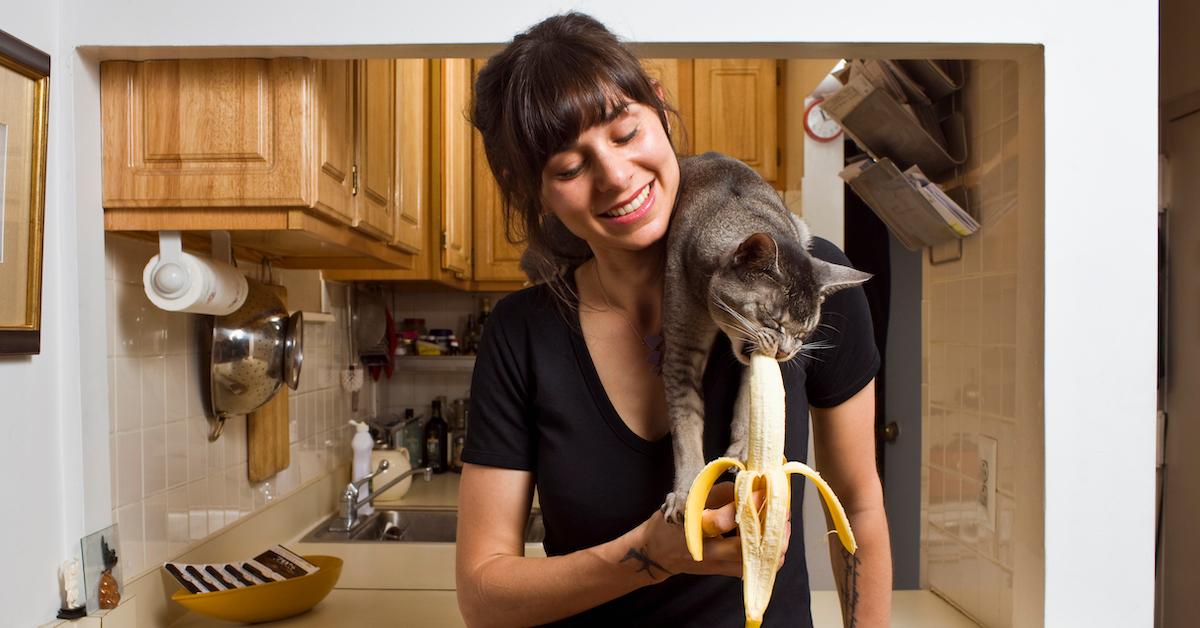 Can you clearance feed cats bananas