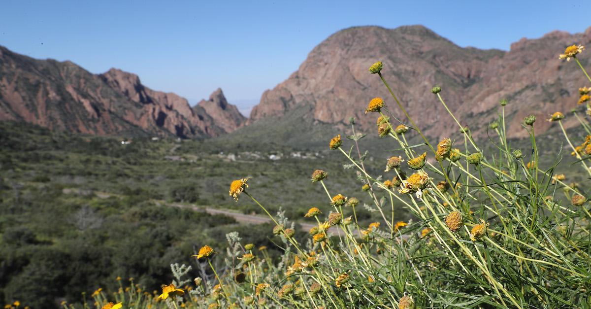 Big Bend Expansion