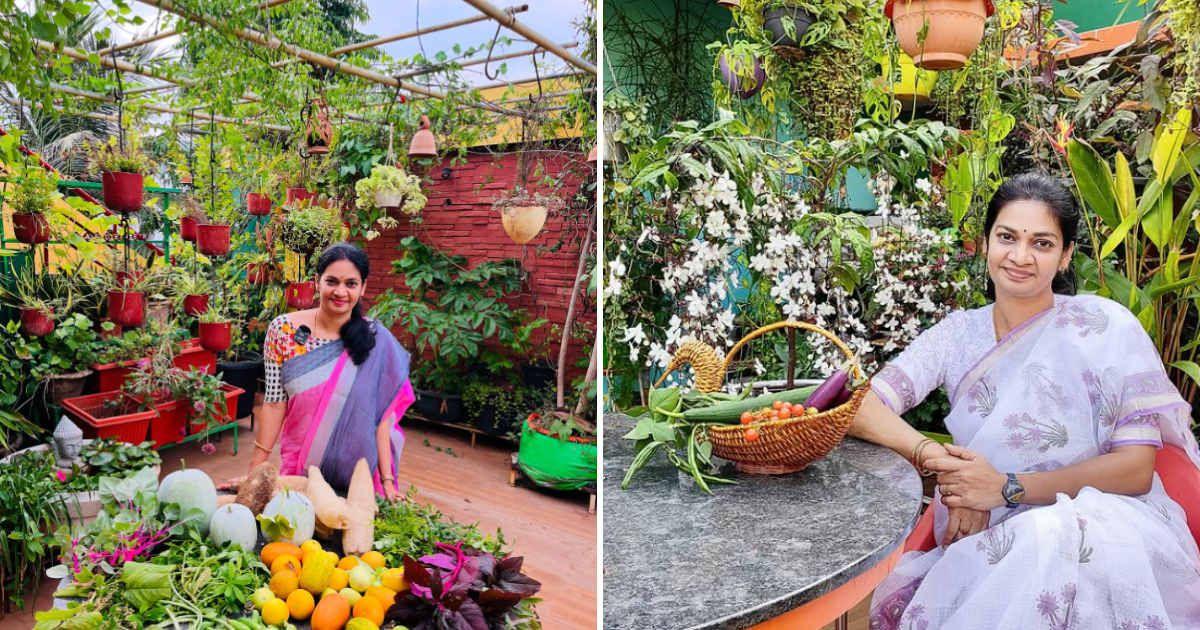 Indian plant mom transformed her home into a terrace garden (Cover Image Source: Instagram | @madgardener_madhavi)