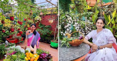 Indian plant mom transformed her home into a terrace garden (Cover Image Source: Instagram | @madgardener_madhavi)