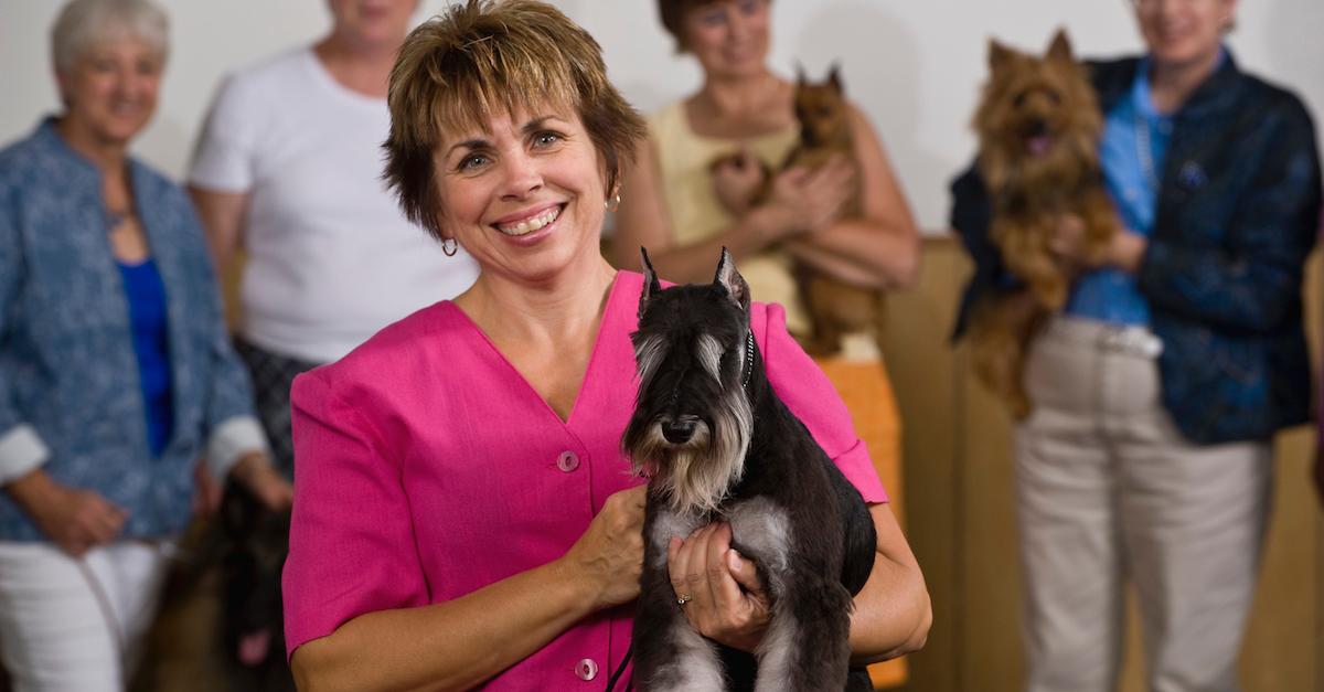 Woman in a pink blouse carrying a small black and white dog. 