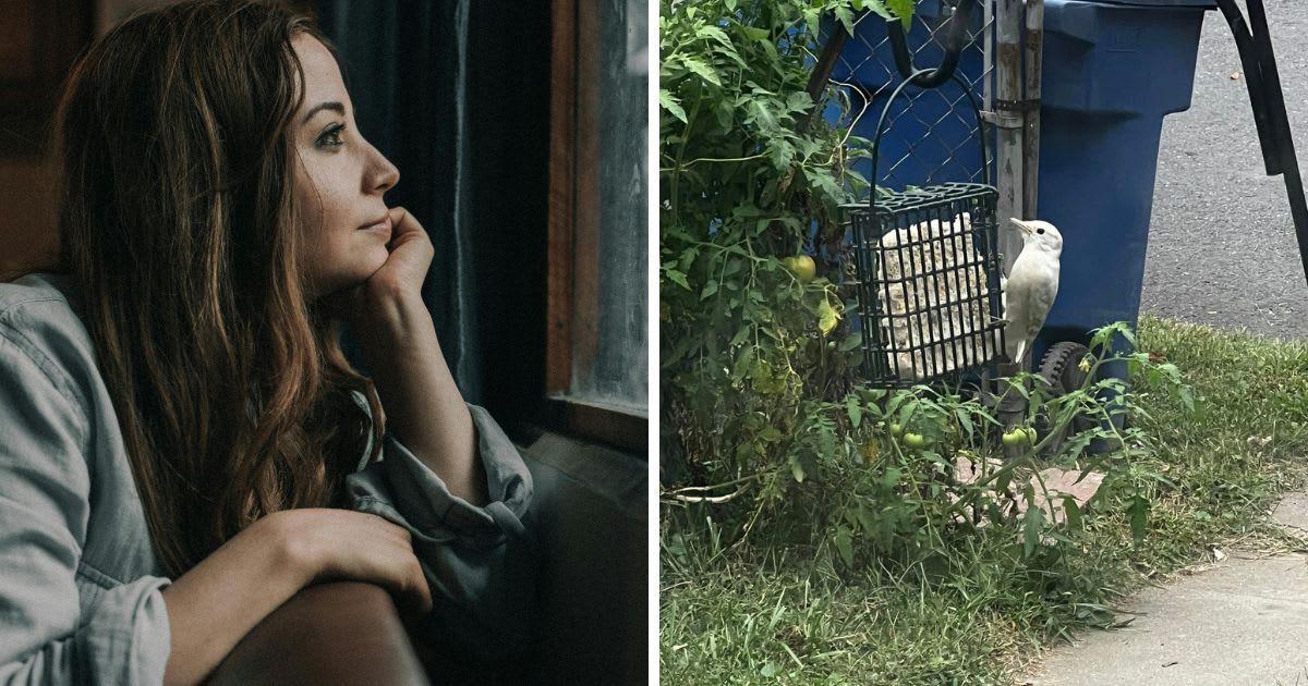 (L) Woman looking out the window (Representative Cover Image source: Pexels | Bruno Cervera) | (R) A rare white bird in a woman's yard. (Cover Image source: Facebook | Amanda Refalo)