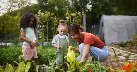 National Gardening Day Quotes