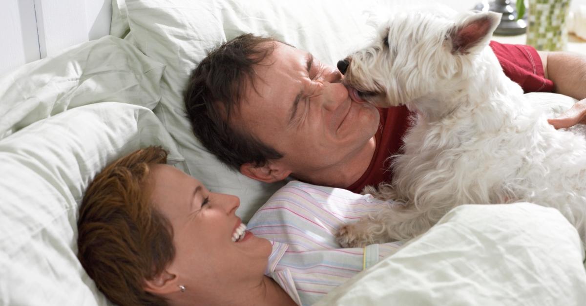 A dog licking the face of a man in bed with his wife. 