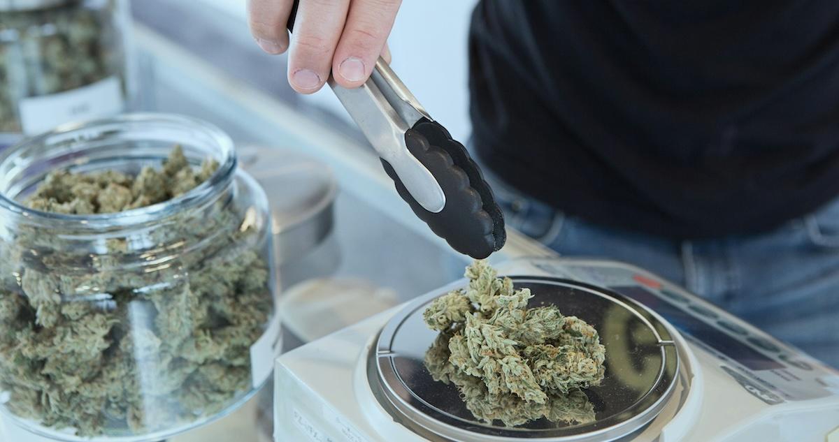 cannabis dispensary