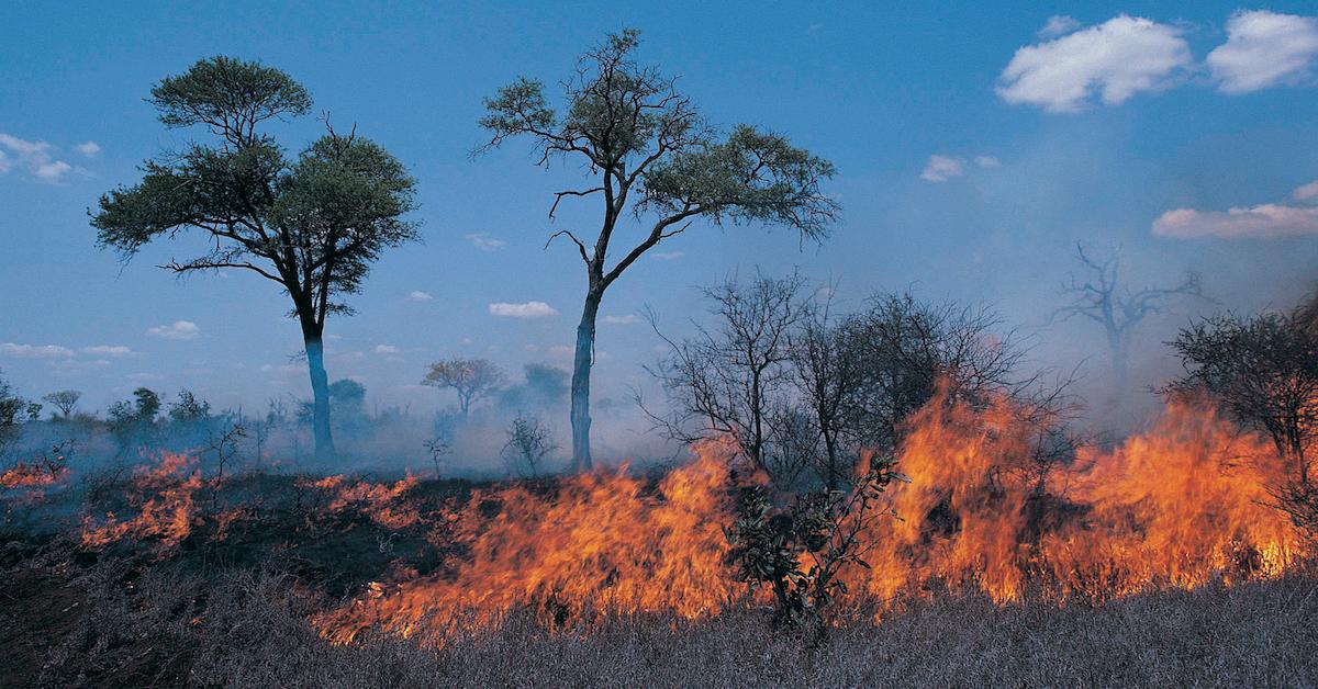 Nepal Wildfires