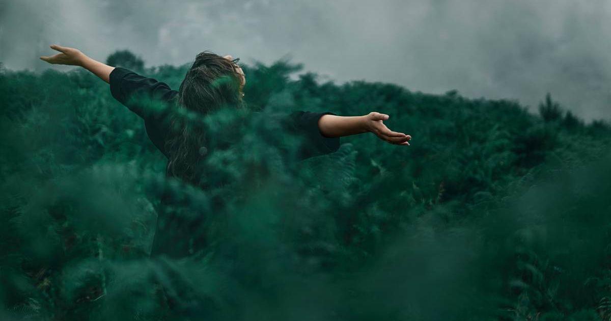  A person soaking in the lush greenery of nature. (Representative Cover Image Source: Pexels |Kourosh Qaffari)