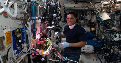 NASA astronaut Frank Rubio harvesting a tomato garden in space station. (Cover Image Source: Facebook | @ISS)