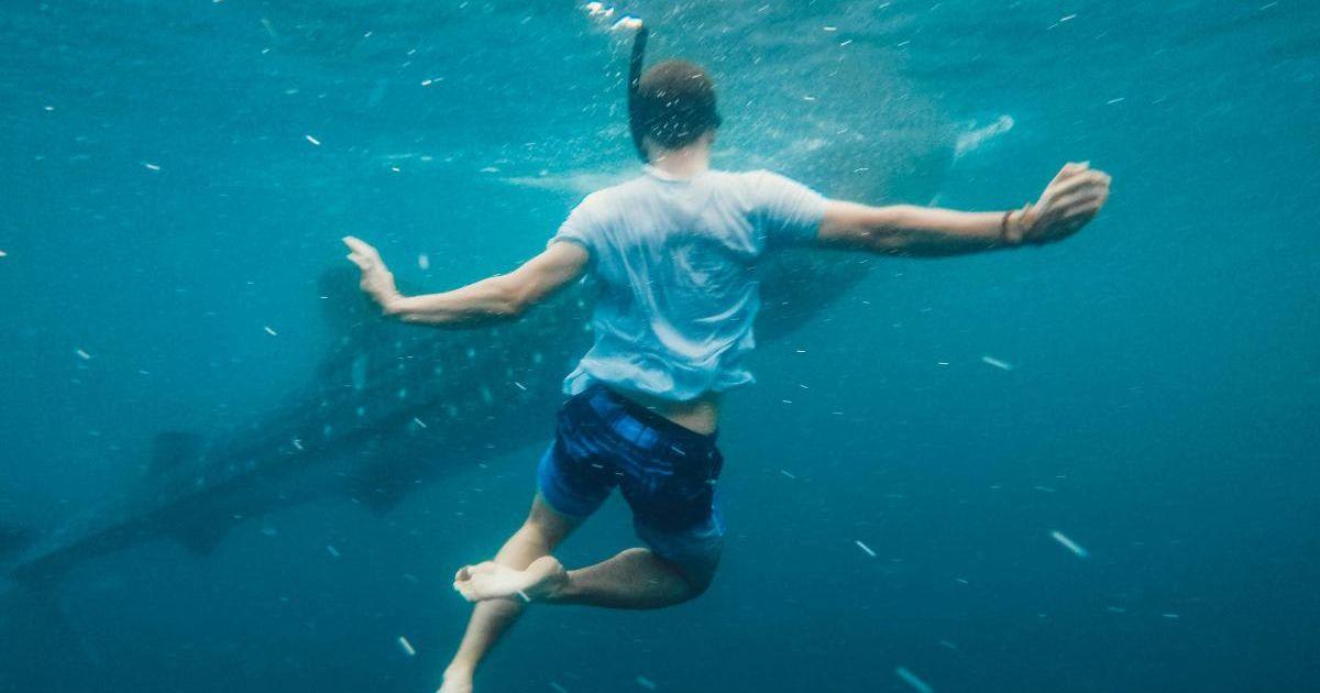Male traveler swimming underwater with a whale. (Representative Cover Image Source: Pexels | Roman Odintsov)