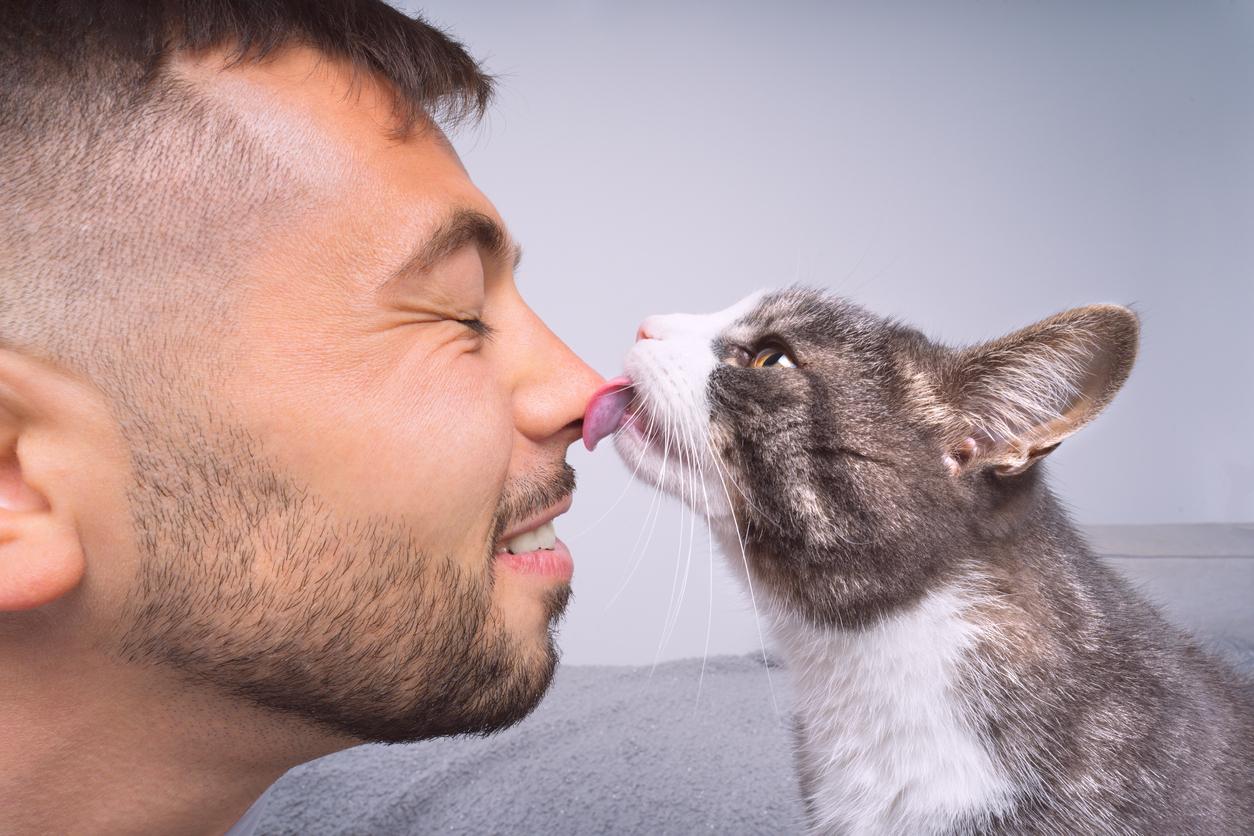 A cat licks the nose of a smiling human with his eyes closed.