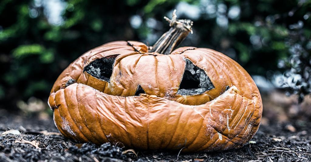 What to Do With Old Pumpkins: Cooking, Composting, Donating, Oh My!