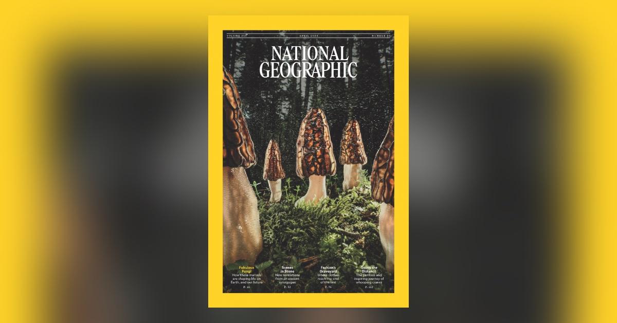 Cover of environmental magazine National Geographic with fungi. 