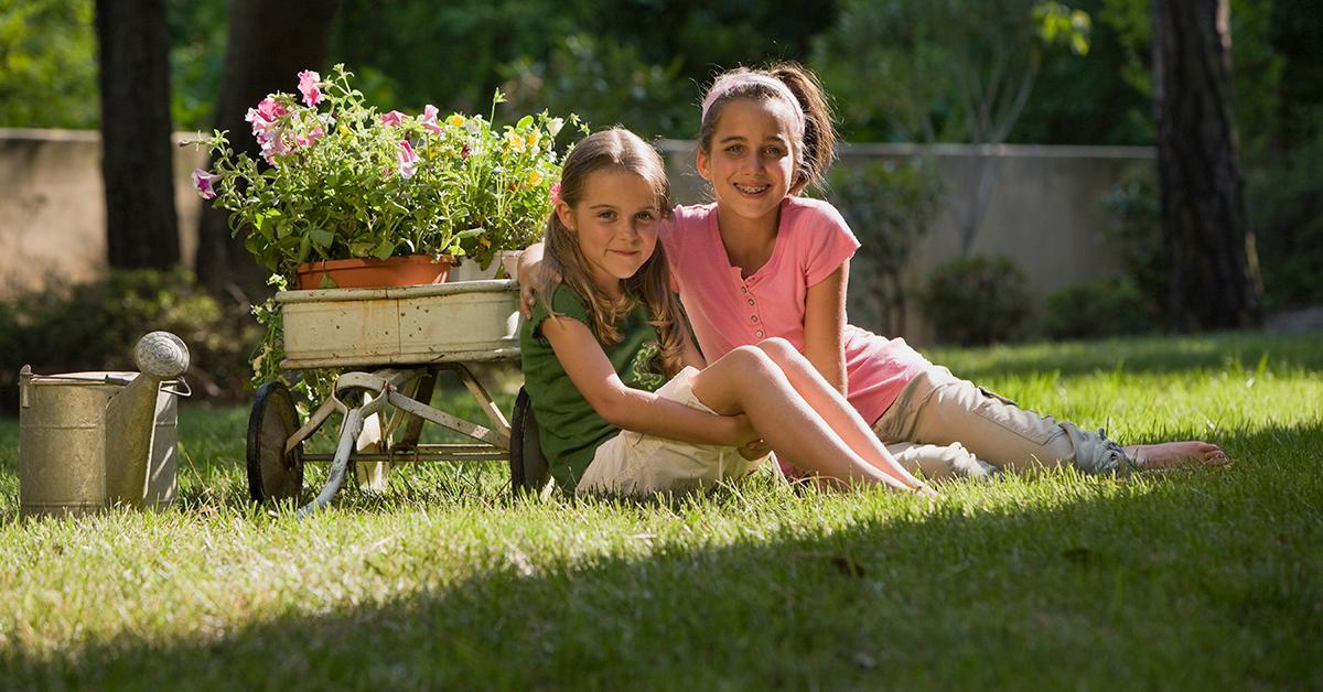 Your Guide to Shade Gardening 14 Plants That Thrive in Low Light