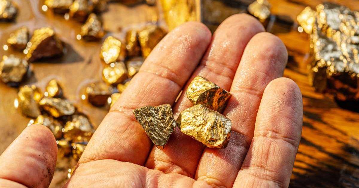 A person holding nuggets of gold. (Representative Cover Image Source: Getty Images | ValentynVolkov)