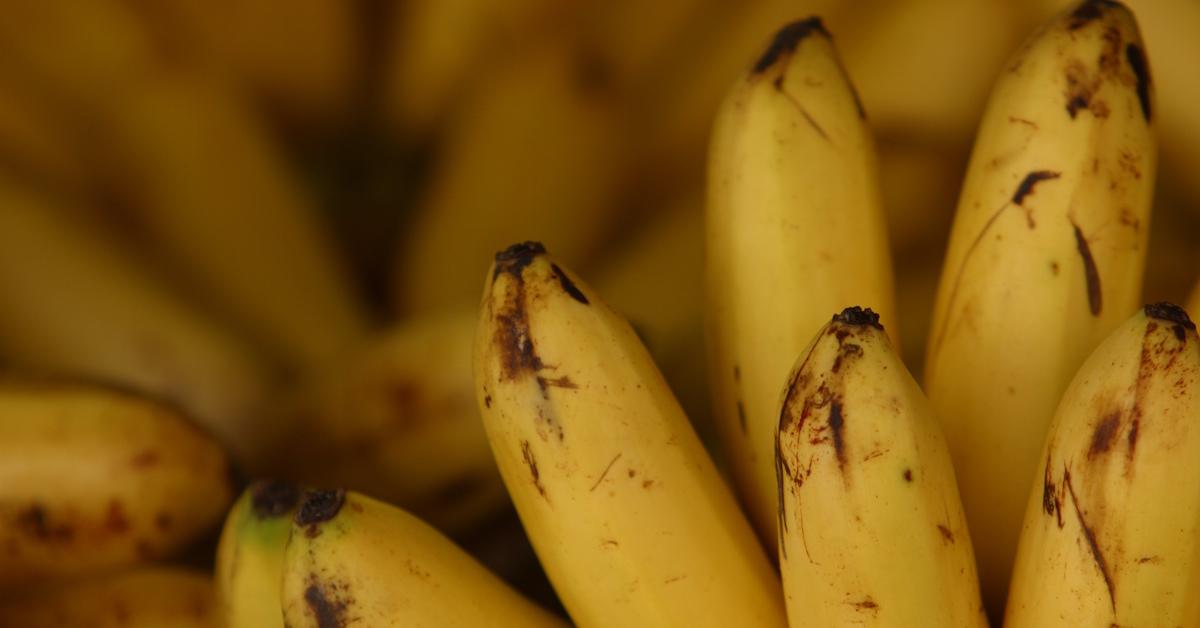 A bunch of ripening bananas