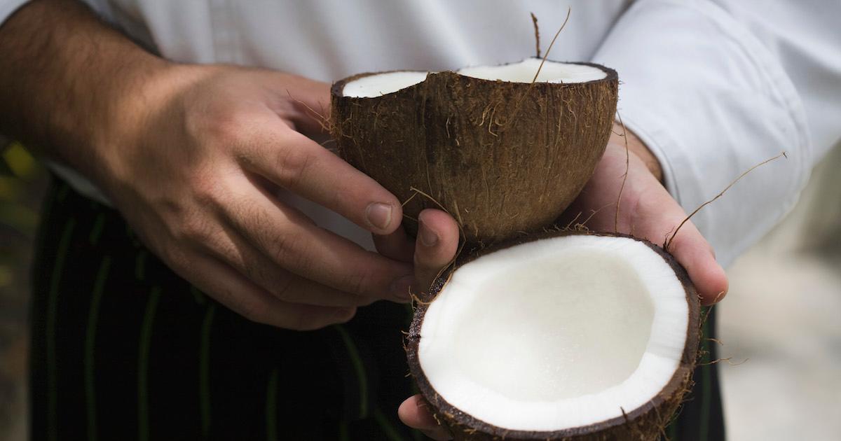 Coconut