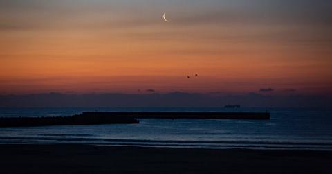 Fukushima Nuclear Disaster