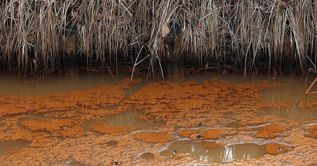 polluted pond