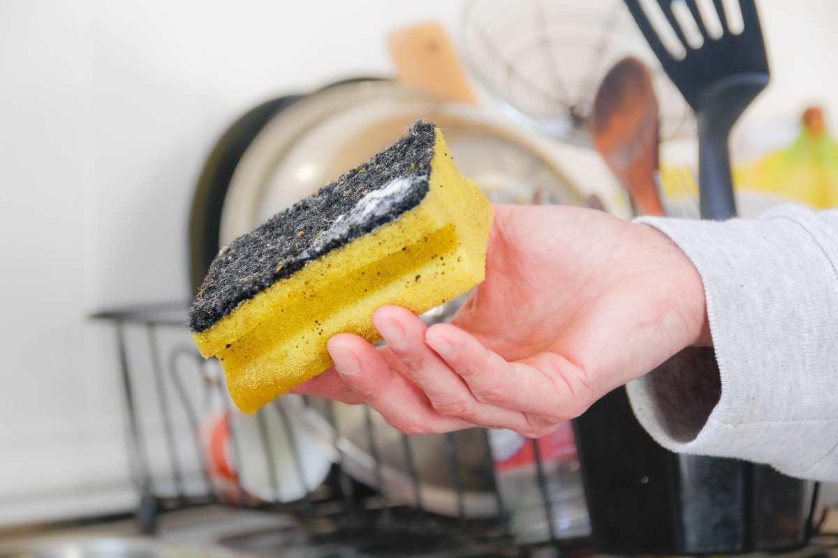 pn/aafaa  eff ac aafdbdfbf