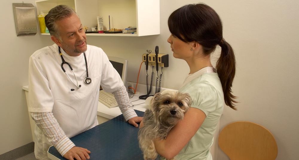 Can Dogs Get Monkeypox? Here's What Every Pet Parent Should Know