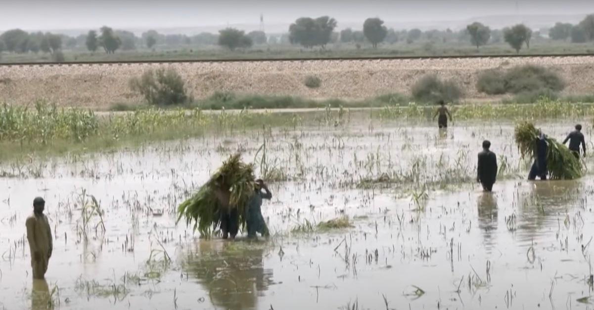 Pakistan flood relief