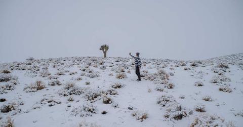 Death Valley National Park covered in snow (Representative Cover Image Source: Getty Images | swissmediavision)