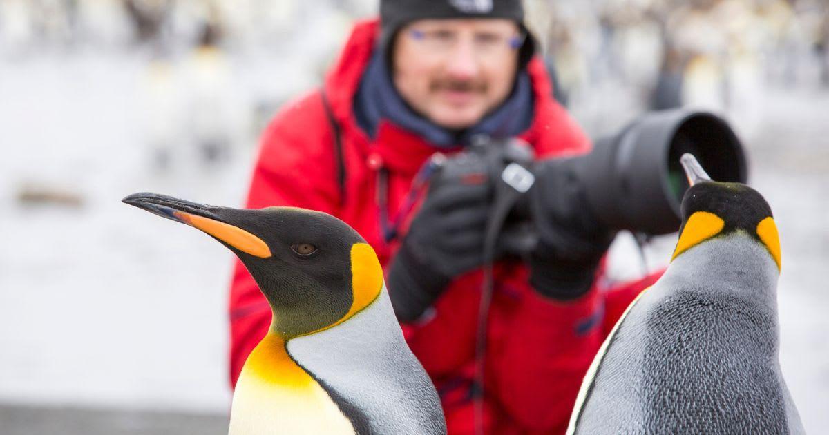 A man looking at penguins. (Representative Cover Image Source: Getty Images | Ashley Cooper)