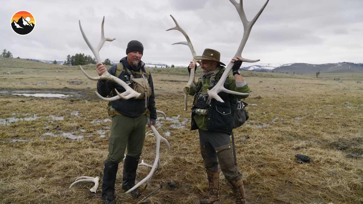 pn/afde ea cb ea afda