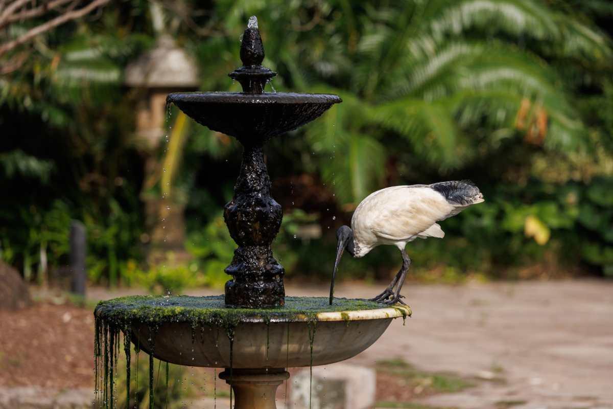 pn/b b ea bfe bededda