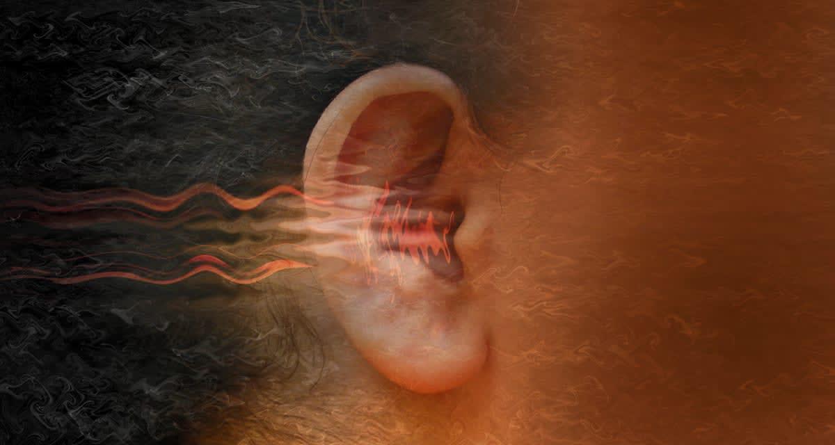 pn/beaa bdd fee a cfcfc