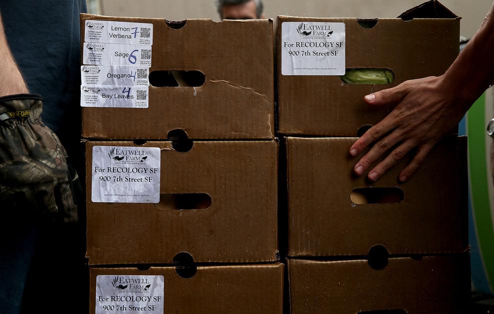 Is Cardboard Biodegradable? What to Do With Your Amazon Boxes