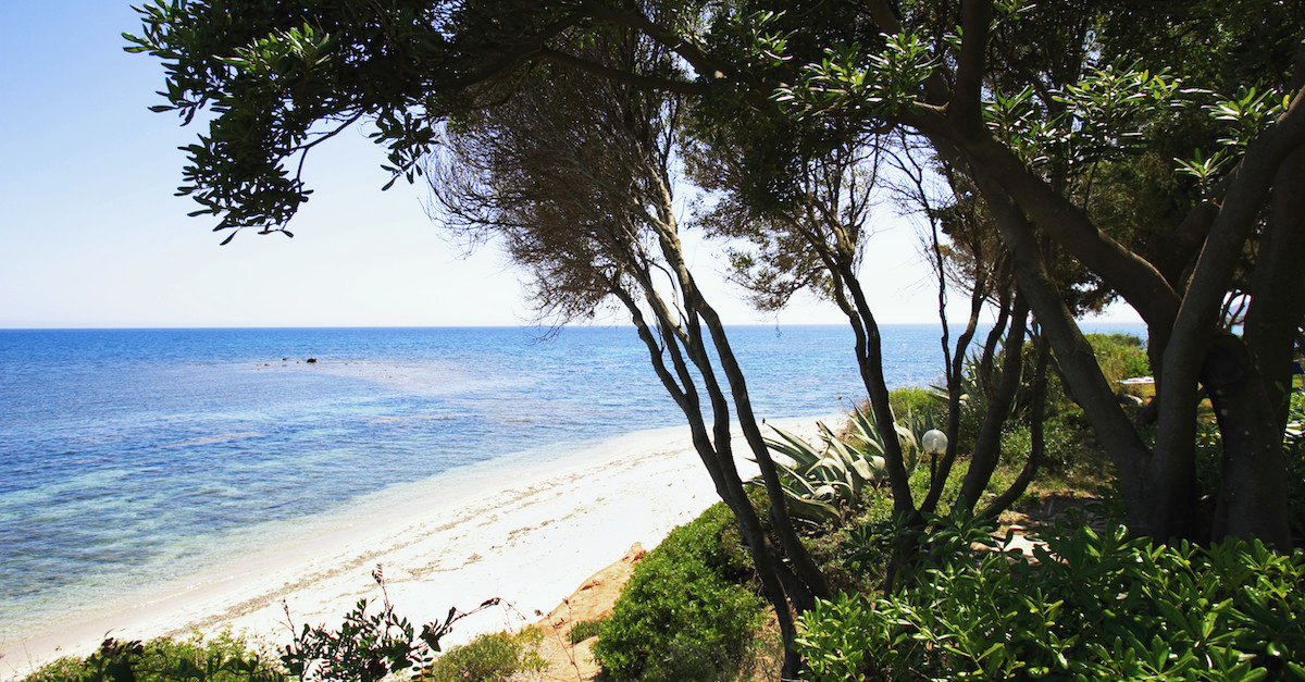 Sardinia Wildfires Forcing Thousands to Evacuate Their Homes