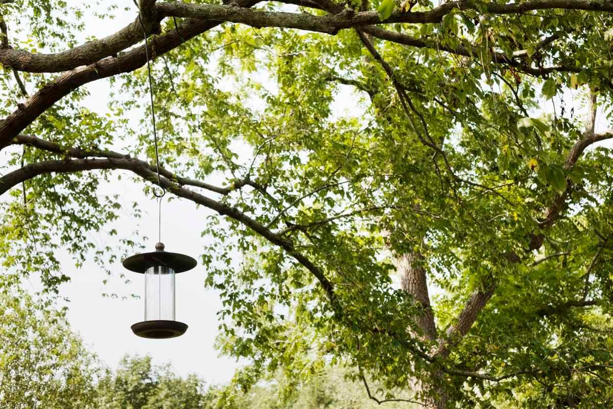 pn/afcb a fb c dfeaaa