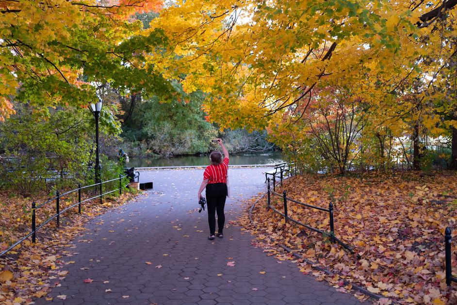 Person walks through trees in a park in Brooklyn, in New York City.