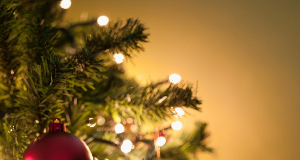 How Much Should You Water Christmas Trees?