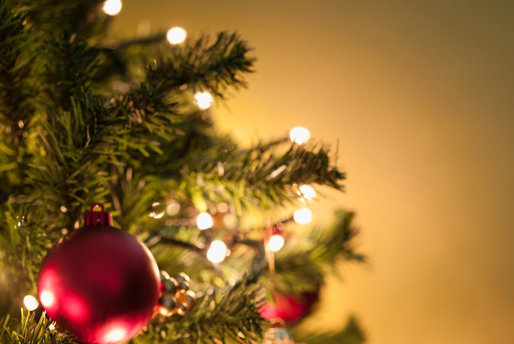 How Much Should You Water Christmas Trees?