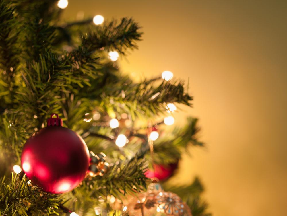 How Much Should You Water Christmas Trees?