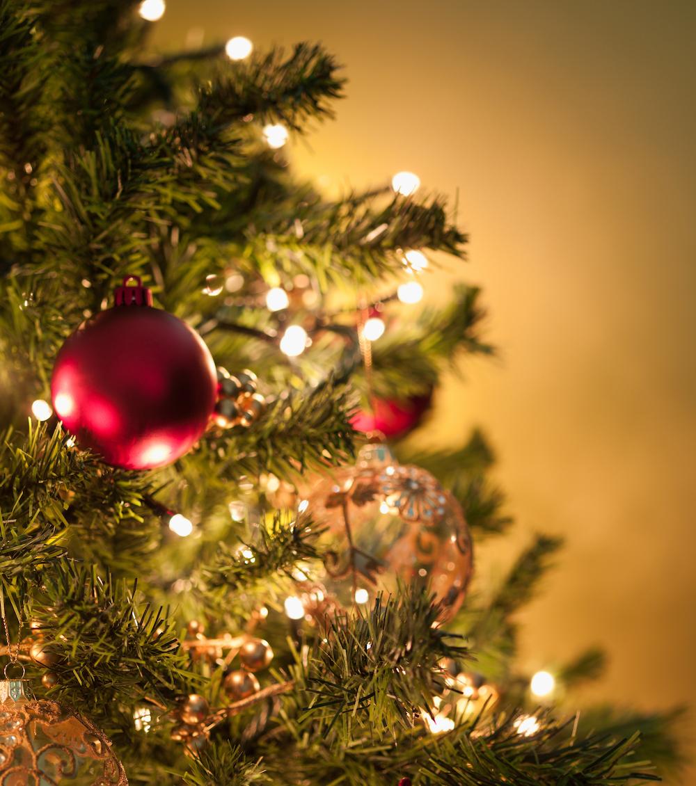 How Much Should You Water Christmas Trees?