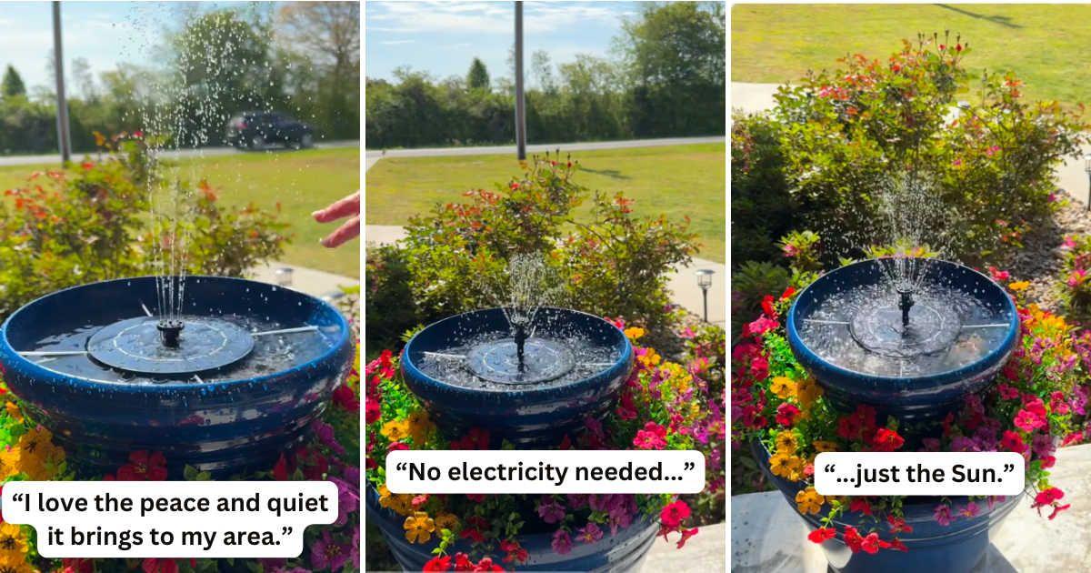 Gardener demonstrates how to create a solar bird fountain using stackable planter pots. (Cover Image Source: TikTok | @missgracie.thedoodle)