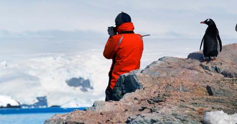 An Antarctic researcher observing the location with a gentoo penguin on his side. (Representative Cover Image Source: Getty Images | Mint Images -David Schultz)