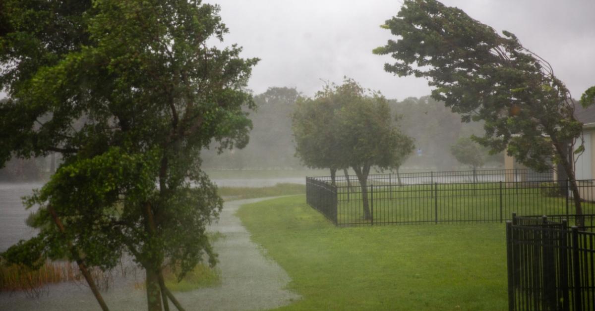 Wind and rain blowing trees in a suburban neighborhood in Florida. 