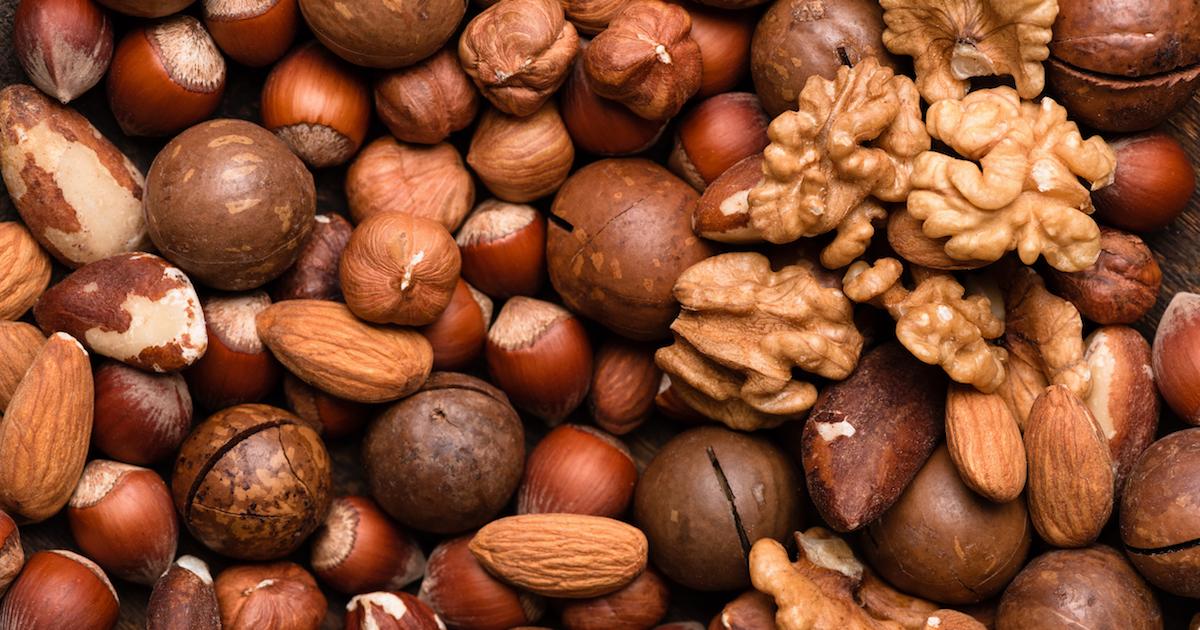 nut protein ranking