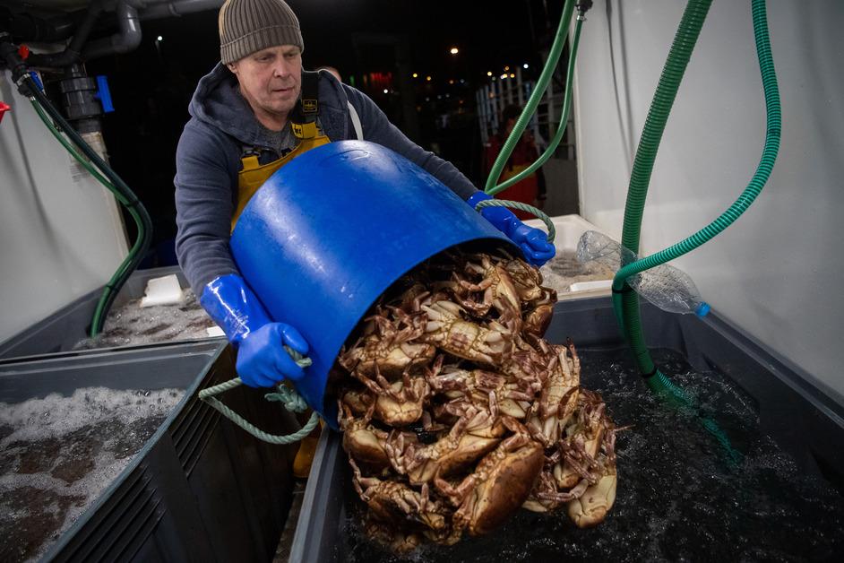 Man with crabs