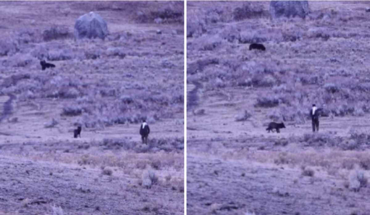 pn/cf fea feb ed edadbe