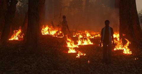 Men setting 'prescribed burns' or 'controlled fires' in a forest (Representative Cover Image Source: Getty Images | McDonald Wildlife Photography)