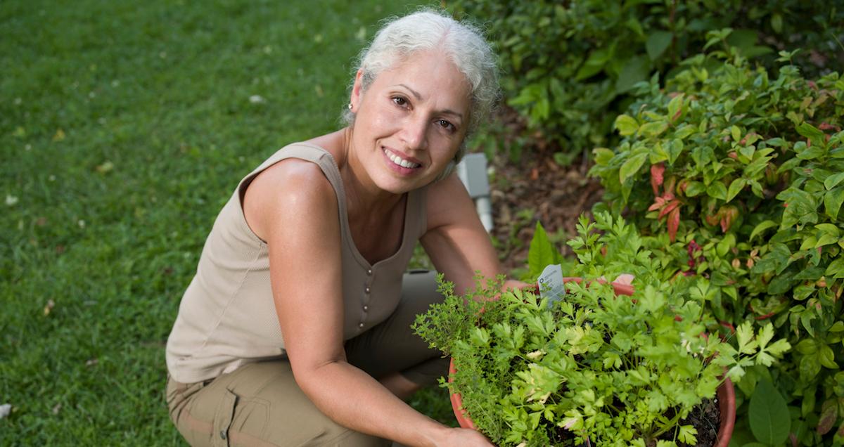 no till gardening how to get started