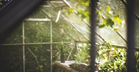 greenhouse _