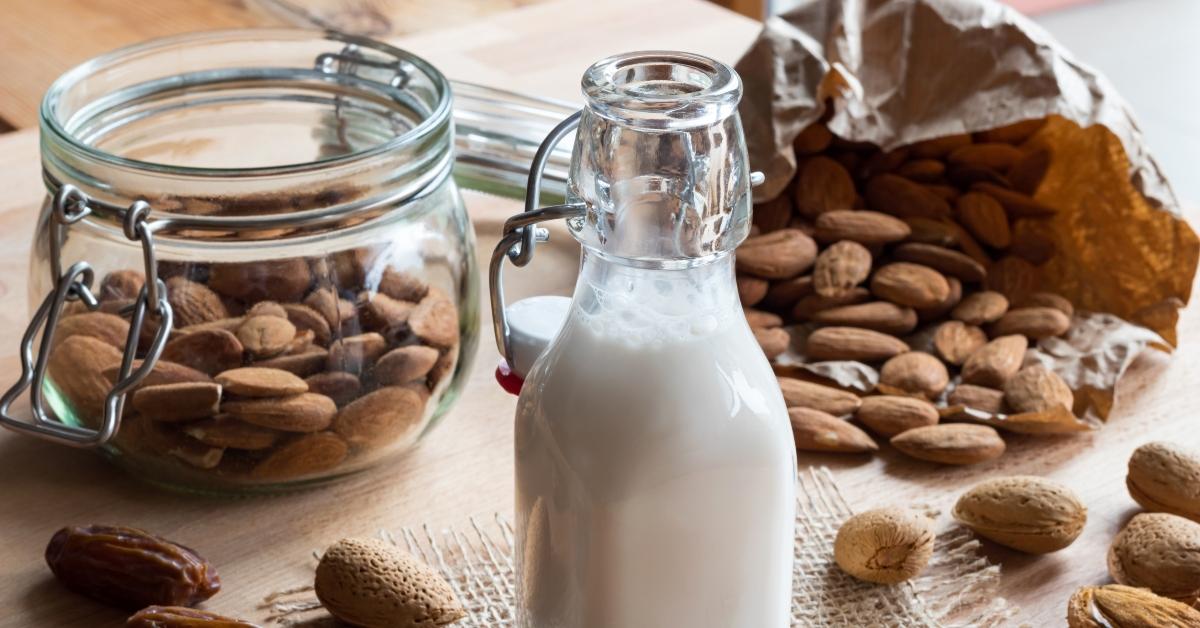 Is almond milk 2024 safe for dogs