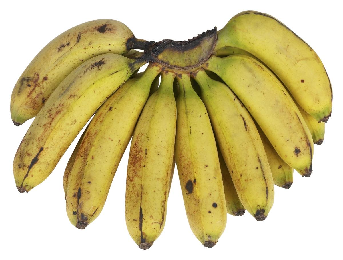 ripe banana bunch