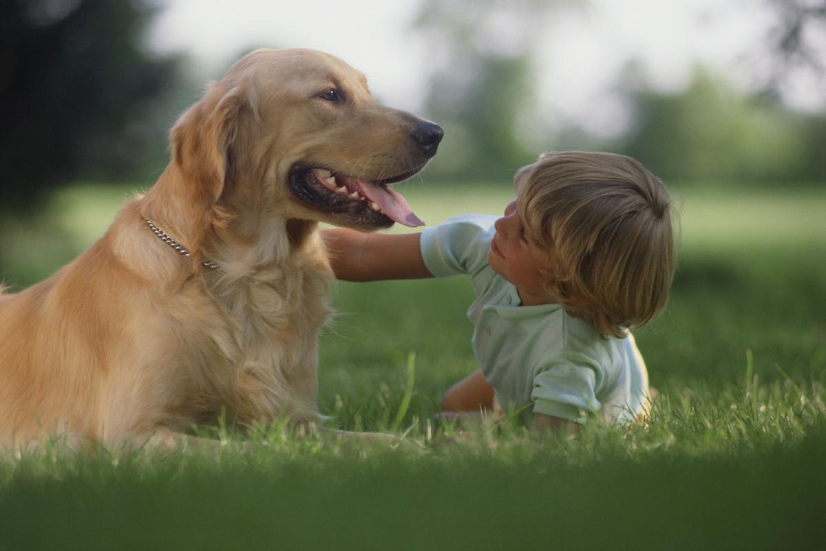 Child and dog